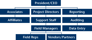 Michelson and Associates Organization Chart